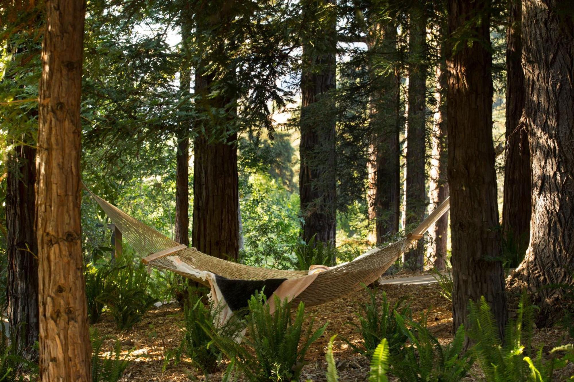 Alila Ventana Big Sur - Inclusive Resort (Adults Only) Exterior foto